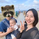 바다여행 | 속초 켄싱턴 리조트 설악비치 | 6개월 아기랑 바다 여행 숙소 후기
