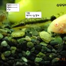 개그스토리 이미지