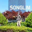송림조경 이미지