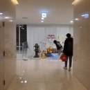 [제주도숙소] 시리우스호텔 제주시내 가성비호텔 수영장 후기 +제주시내배달맛집 추천