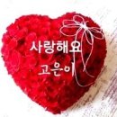 햇살 좋은날 이미지