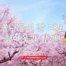 (주)와우모터스 이미지