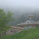 대산사슴농장 이미지