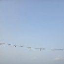 센티마르글램핑 | [태안]글램핑 추천 - 센티마르펜션글램핑 1박후기