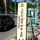 행복한나무집 이미지