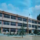 초전중학교 | 초전중학교(성주)7회