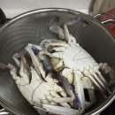 신중앙시장 | 마포농수산물시장 가리비 꽃게 가격 후기 | 신중앙시장 해산물 장보기