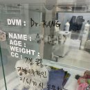 메이동물병원 이미지