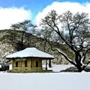 서정적인 이미지