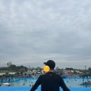 캠핑아마존아산지사 | 당진 아마존 아쿠아파크 🏖️ 당일치기 물놀이 후기 🌞