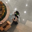 숙이목장 | 웨딩준비와 함께한 11월 1주 일상(💍벨라루체, 오펠리스, 보타닉파크웨딩 견적공유⭕️)