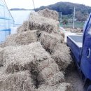 볏짚농장 이미지