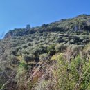 요한농원 이미지