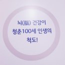 크린브레인 이미지