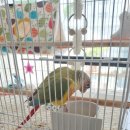 주식회사 리프패럿 이미지