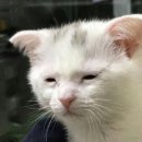 모든 바이오 | 제1회 강릉 천연물 바이오 국제 콘퍼런스 개막식 참여 후기(세인트존스 호텔)