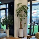 횡성한의원 이미지