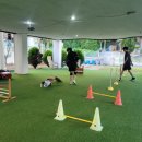 평생 사랑해 줄 개 애견펜션 이미지