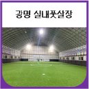 연세풋살장