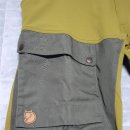 딥포레스트 이미지