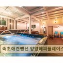 행복 울림 오카리나 | <양양 펜션 추천> 속초애견펜션 양양해피플레이스 뛰어난 친절과 넉넉한 공간 제공