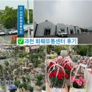 한산유통 | 과천화훼유통센터 방문후기
