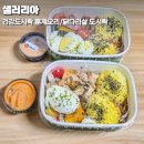 샐러리아화성 | 야채를 싫어하는 사람의 샐러리아 수원역 도시락 메뉴 후기