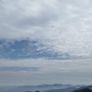 유경장작구이 | [소요산 맛집] 동두천 오리고기, 유경 참나무 장작구이🏔️