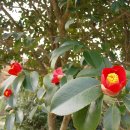 남도삼백리길(7코스) 이미지