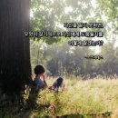 1126 | 사랑 명상 1126