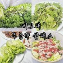 오채 | 비오채 무농약 쌈채소 후기, 유러피안샐러드 유럽상추로 건강한 식단