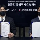고이비토 이미지