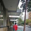 윈야드