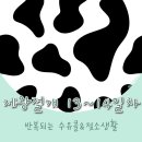사탕베개 | [제왕13~14일차] 계속되는 수유콜. like 젖소생활🐄 / 사탕베개 만들기 프로그램 후기