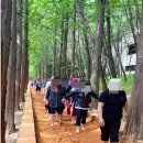 서호하단병원 이미지