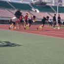 1333 경남매일