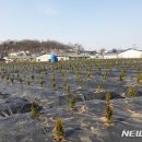 땅과사람공인중개사사무소 이미지