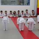 경희대 에이스태권도 이미지