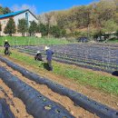 희망영농 이미지