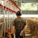 늘찬농장 이미지