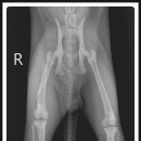조치원메디컬센터 이미지