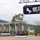 챔프 이미지