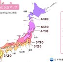 주식회사 벚꽃
