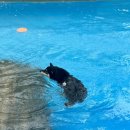 산 위에 호수 이미지