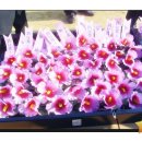 각동마을 이미지