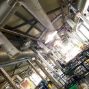 창영농장 이미지