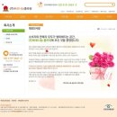 디자인바로 티스토리