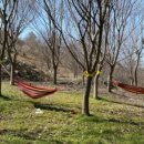 장수민박 이미지