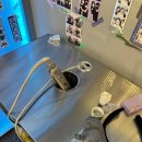 세븐스타코인노래연습장(아주대점) 이미지