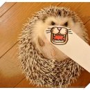 더아이엠웍스